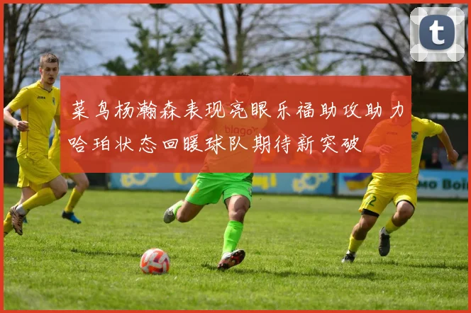 菜鸟杨瀚森表现亮眼乐福助攻助力哈珀状态回暖球队期待新突破
